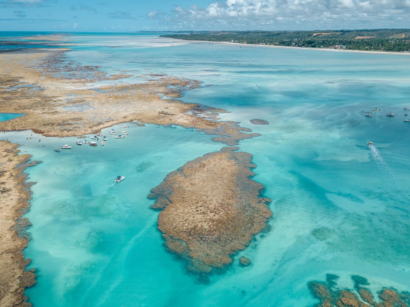Destino dos sonhos: Maragogi se consolida como um dos destinos mais procurados por turistas brasileiros 