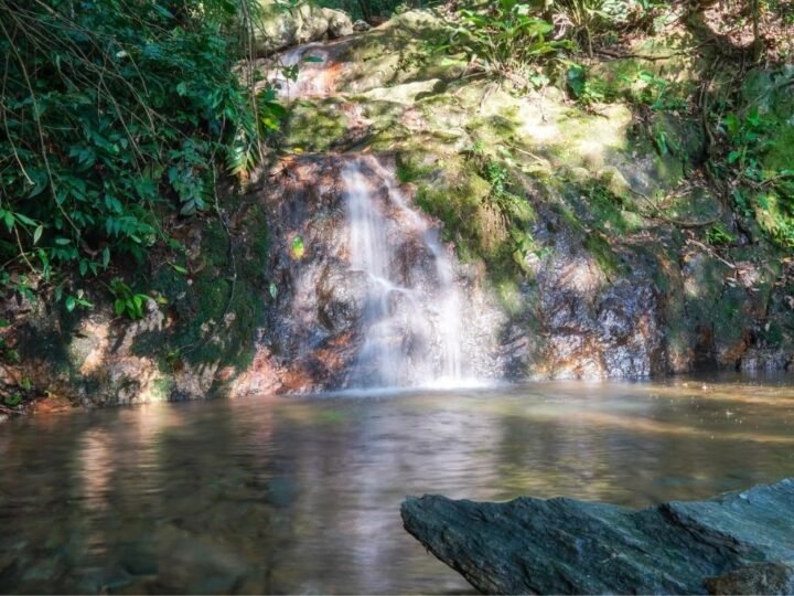 O que fazer em Penha/SC? Guia completo e passeios imperdíveis