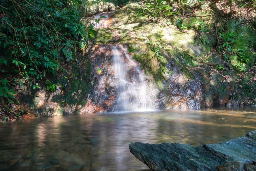 O que fazer em Penha/SC? Guia completo e passeios imperdíveis