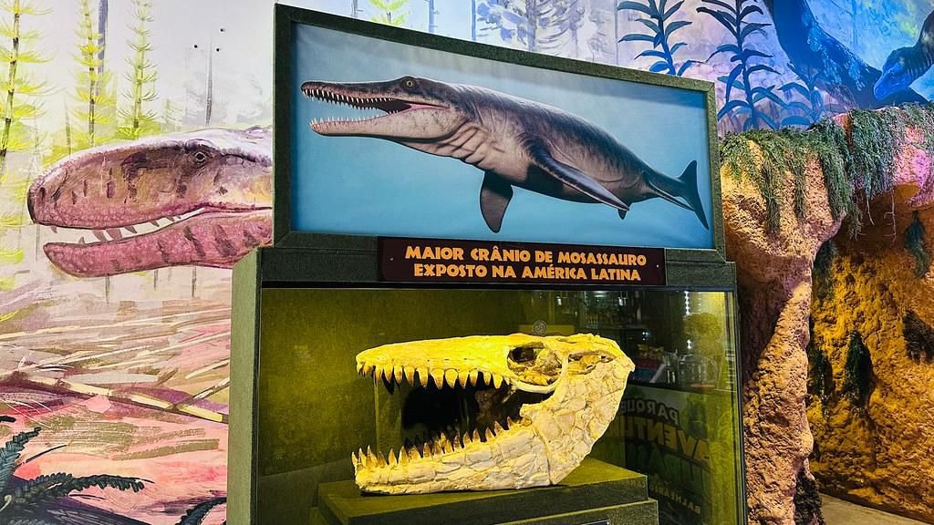 Dia Internacional dos Museus: acervo em parque temático de dinossauro em SC reúne fósseis raros e investe em experiências imersivas