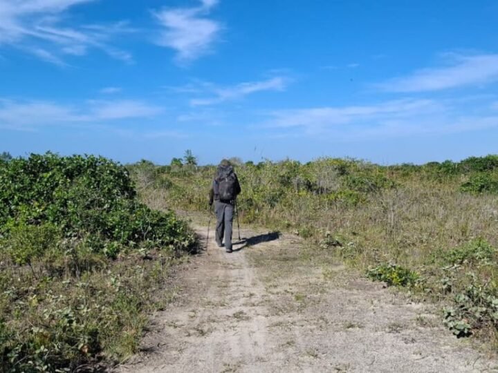 Governo de São Paulo lança Rede Estadual de Trilhas para integrar turismo sustentável e conservação ambiental